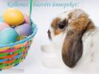 easter008_small.jpg