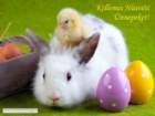 easter023_small.jpg