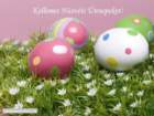 easter031_small.jpg