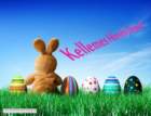 easter042_small.jpg